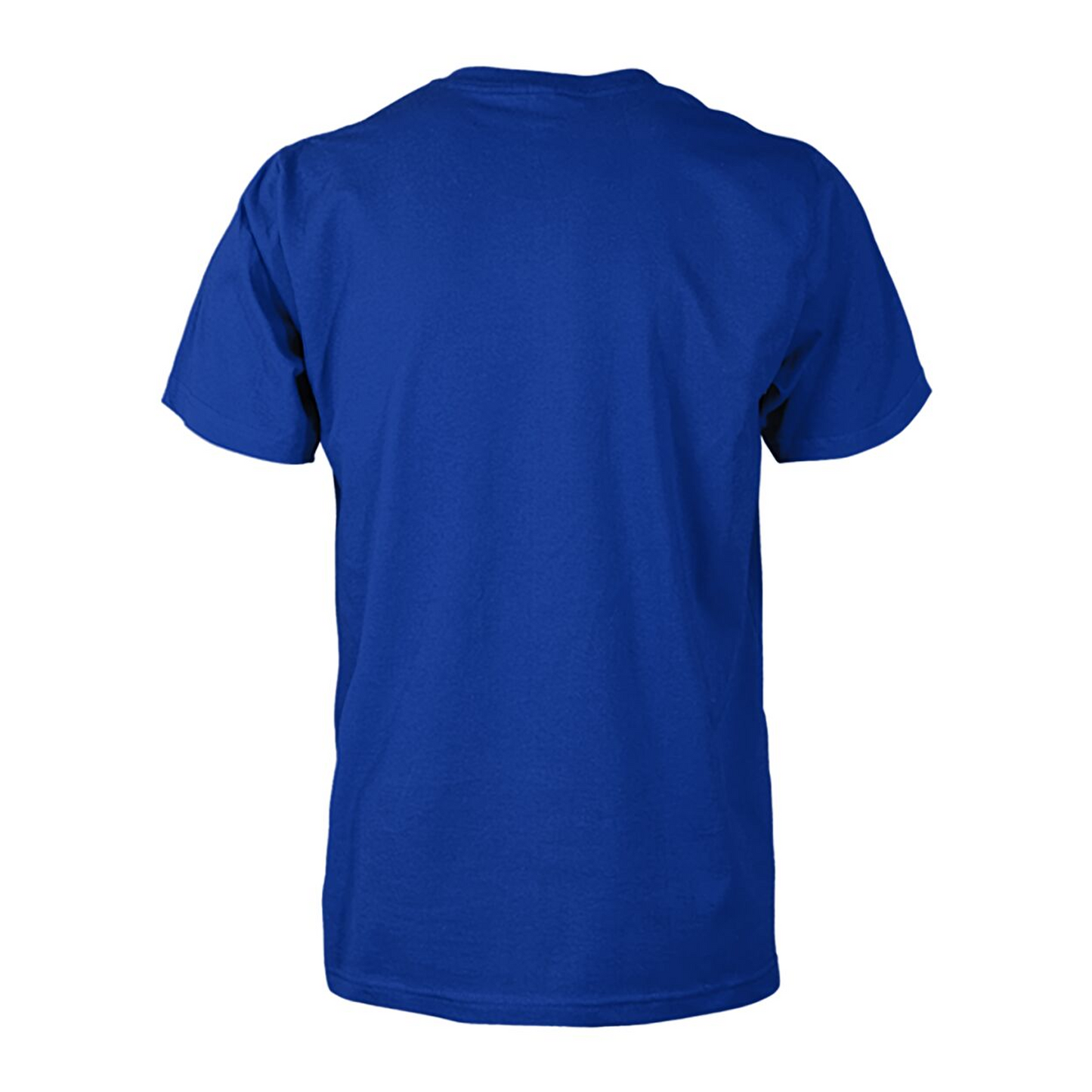 INT Campioni D’Italia 2526 3D Shirt 0705 DatND DVT 1